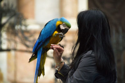 Close-up of woman with gold and blue macaw