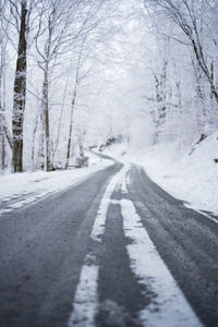 Road along bare trees during winter