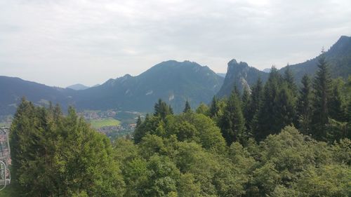 Scenic view of forest and mountains against sky