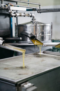 Freshly pressed olive oil