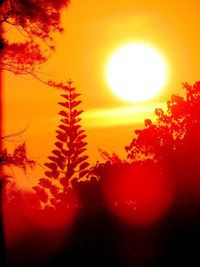 Silhouette trees against orange sky during sunset