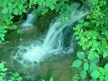 Scenic view of waterfall