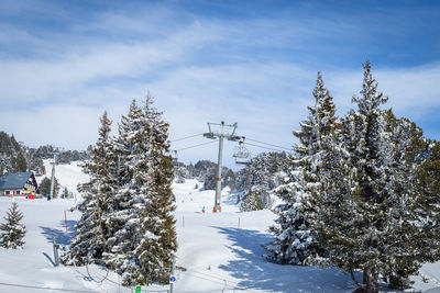 Snow covered trees against sky