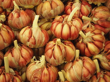 Full frame shot of garlics at market