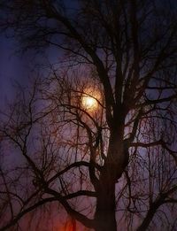 Low angle view of silhouette bare tree against sky