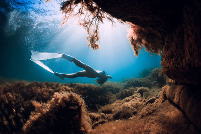 Man swimming in sea