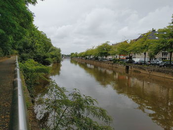 Reflection of trees in river