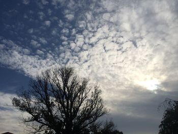 Low angle view of bare trees against cloudy sky