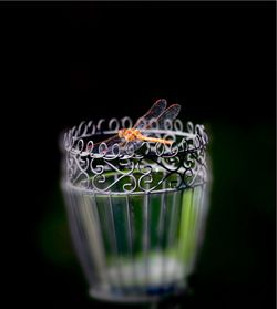 Close-up of glass against black background