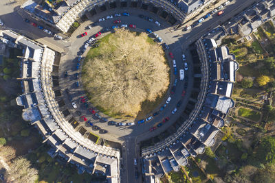 High angle view of tree in city