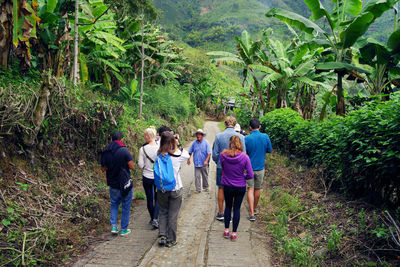 Rear view of people walking in forest