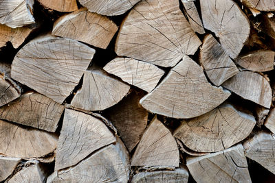 Full frame shot of logs in forest