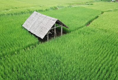 View of agricultural field