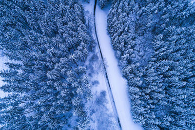 Aerial view of road by snow covered land and trees during winter