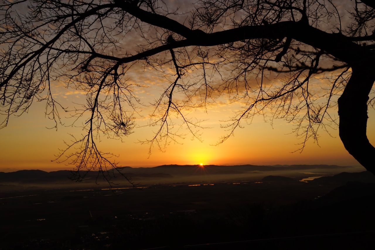 sunset, beauty in nature, silhouette, nature, tranquility, tranquil scene, tree, orange color, scenics, sky, no people, landscape, outdoors, sun, branch