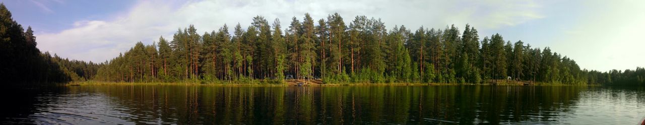 Reflection of trees in lake