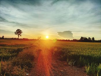 Scenic view of field against sky during sunset