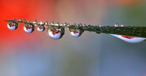 Close-up of raindrops on water