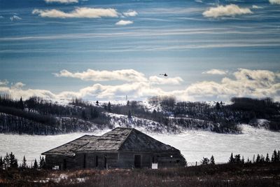 Birds flying over snow against sky