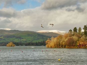 Birds flying over lake against sky and mountains