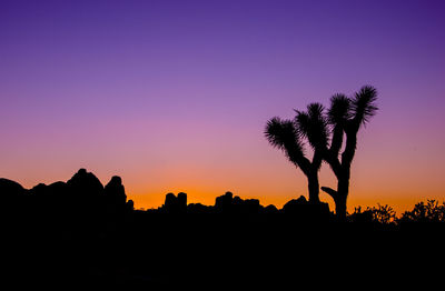 Silhouette trees against sky at sunset