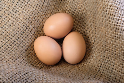 egg
