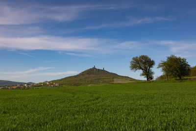 Scenic view of field against sky