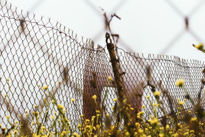 Close-up of barbed wire fence against sky