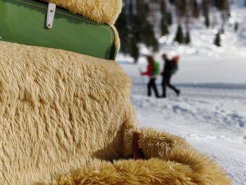Close-up of man walking on snow