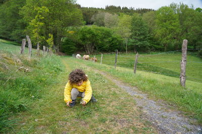 Cute boy discovering the nature...