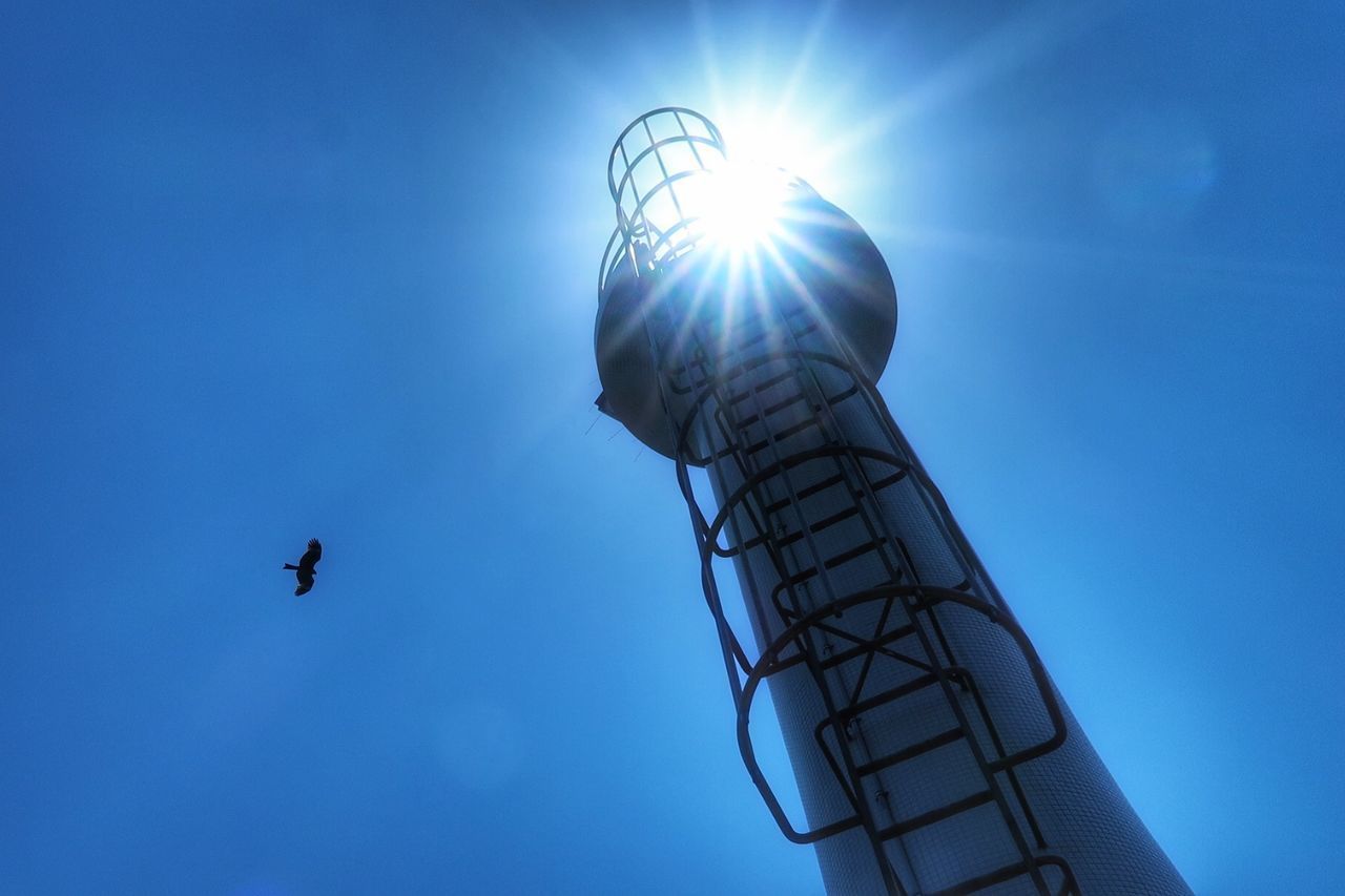 LOW ANGLE VIEW OF KITES FLYING AGAINST BLUE SKY