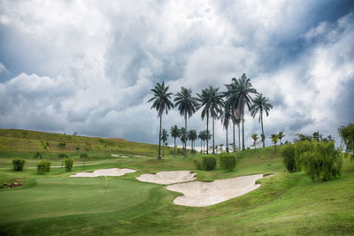 Panoramic view of palm trees on landscape against sky