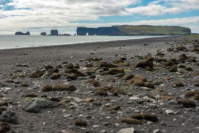 Vik beach in iceland. black volcanic sand