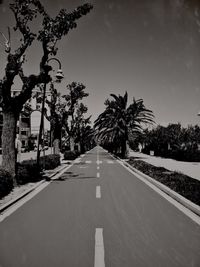 Trees along empty road