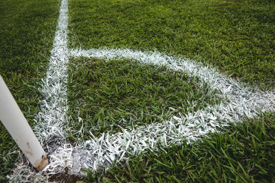 High angle view of grass on field