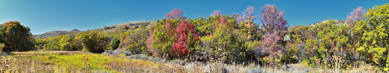 Wasatch front rocky mountains oquirrh mountains hiking yellow fork trail rose canyon salt lake utah