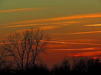 Scenic view of silhouette trees against sky during sunset