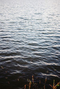 High angle view of rippled water in lake