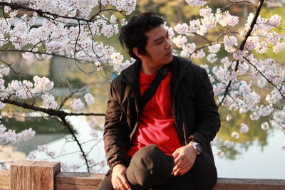 Young man looking away while sitting on cherry tree