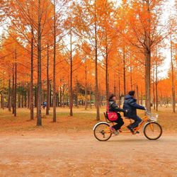 Person riding bicycle on road