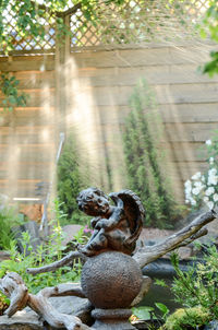 View of lizard on tree