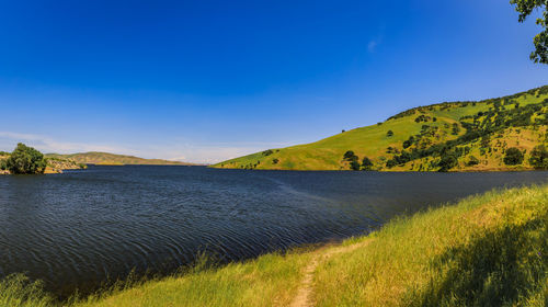 Scenic view of field against clear blue sky