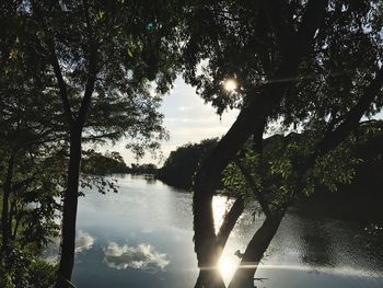 Reflection of trees in lake during sunset