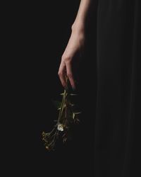 Close-up of hand holding plant against black background
