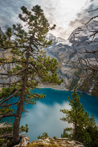 Scenic view of lake by trees against sky