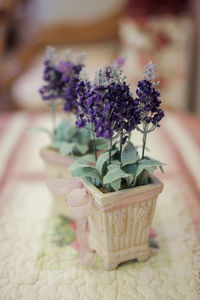 Close-up of flower pot on table