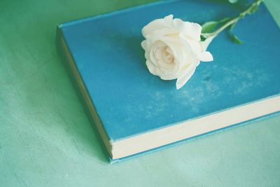 High angle view of rose and book on green table