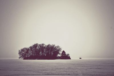 Silhouette trees on snow covered beach