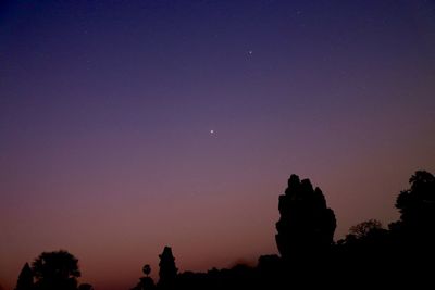 Low angle view of silhouette trees against sky at night