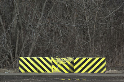 Close-up of yellow sign on road in forest